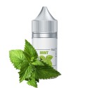 Saltica Mint Salt Likit şişe, taze nane yaprakları görseli.