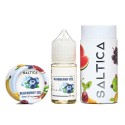 Saltica Blueberry Ice Salt Likit 50mg şişe ve ambalaj seti.